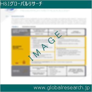 グローバルリサーチ調査レポートのイメージ